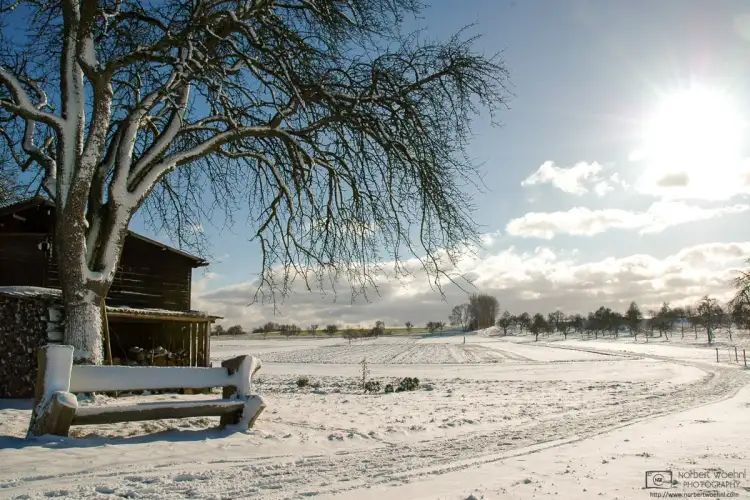 Impression from a walk on a crisp winter day around the orchards outside the village of Pliezhausen in southwestern Germany.