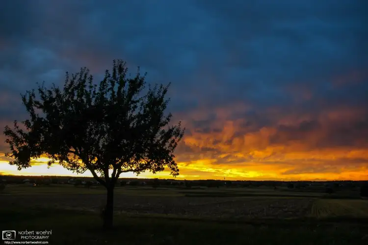 Dramatic light after a late-afternoon summer rain shower over the fields of Pliezhausen in southwestern Germany.