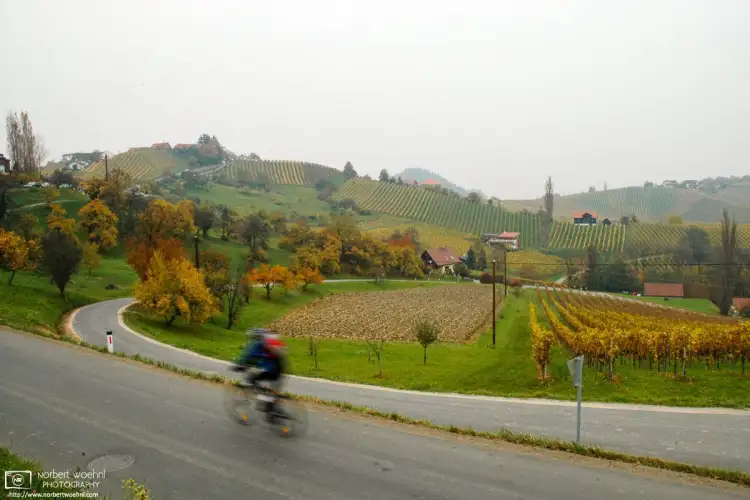 On an overcast autumn day, a bicyclist is speeding along Südsteirische Weinstraße (South Styrian Wine Route) near the village of Ratsch, Austria.