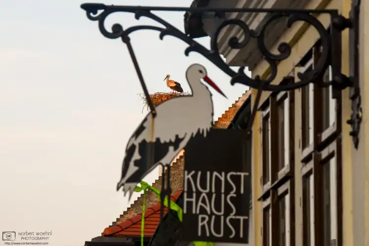 A white stork is seen in its rooftop nest in the stork village of Rust, Austria, behind a locally-themed sign.