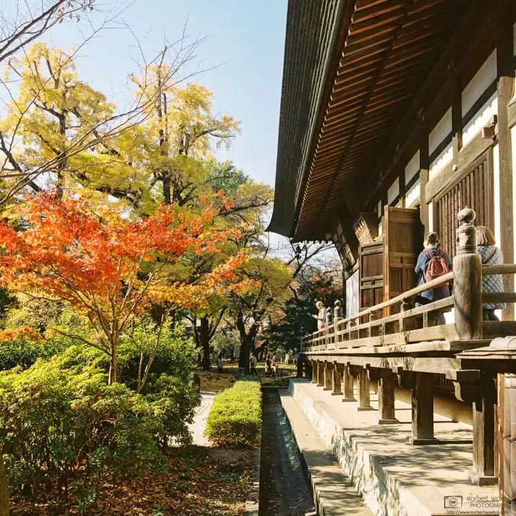 Joshinji, a Buddhist temple affiliated with the Jōdo sect located in the Setagaya Ward of Tokyo, Japan, is a popular destination for autumn leaf viewing.