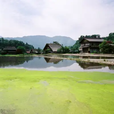 A colorful end-of-May impression between the typical thatched-roof houses at Ogimachi Village in Shirakawago, Gifu Prefecture, Japan.