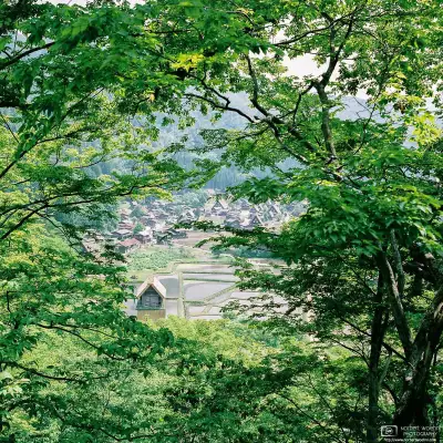 View of Ogimachi Village at Shirakawago in Gifu Prefecture, Japan, as seen through the forest near Shiroyama Observatory.