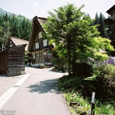 A colorful end-of-May impression between the typical thatched-roof houses at Ogimachi Village in Shirakawago, Gifu Prefecture, Japan.