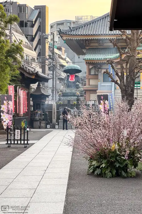A visitor is praying in front of the big Jizō statue at Shinshoji Temple in Sugamo, Tokyo, Japan.
