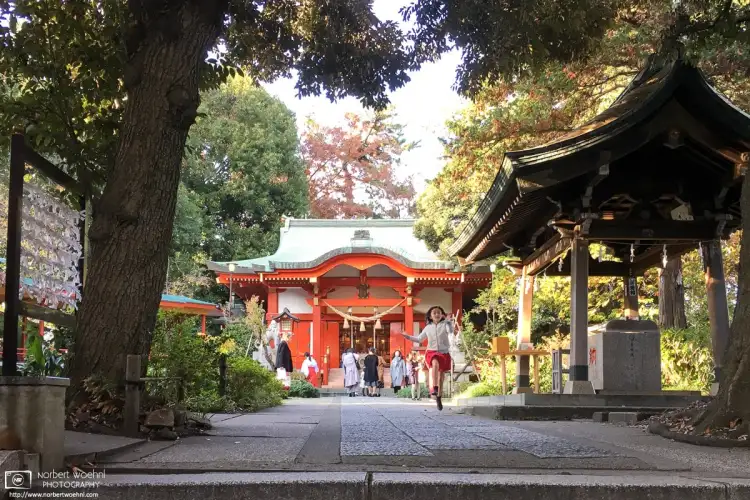 At Jiyugaoka Kumano Shrine in Tokyo, Japan, a girl is seen jumping beside the purification fountain.