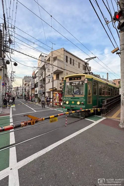 A Toden Arakawa Line train is crossing the road in the Nishi-Sugamo area of Tokyo, Japan. This line is also branded as the Tokyo Sakura Tram.