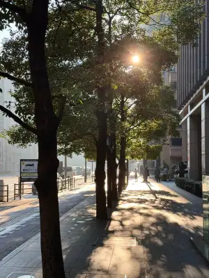 The morning sun is flooding a street in the Otemachi / Marunouchi areas of Tokyo, Japan.