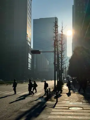 The morning sun is flooding a street in the Otemachi / Marunouchi areas of Tokyo, Japan.