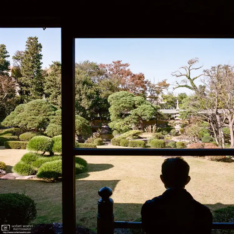 Enjoying the view of the Japanese Gardens at Taishakuten Daikyoji Temple in Shibamata, Tokyo, Japan.