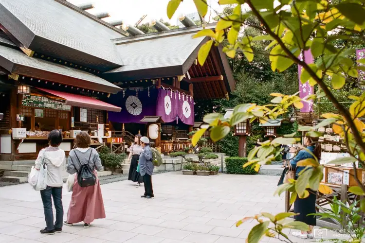 Visitors are frequenting the grounds of Tokyo Daijingu, one of the five major shrines in Tokyo, Japan.