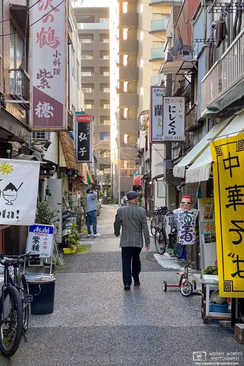 Look into a side street in the Yanaka area of Tokyo, Japan, with various characters - human and non-human - out and about.