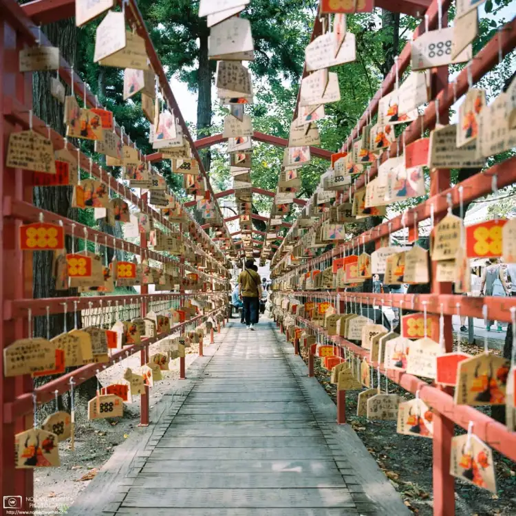 Ema (wishing plaques) at Sanada Shrine, located on the grounds of Ueda Castle in Nagano Prefecture, Japan.