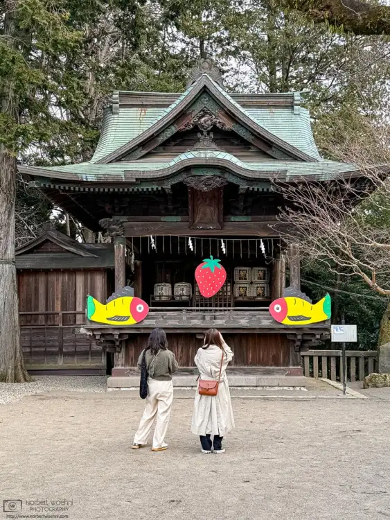 Visitors at Futaarayama Shrine in Utsunomiya, Tochigi Prefecture, are looking at colorful decorations outside Kagura Hall.