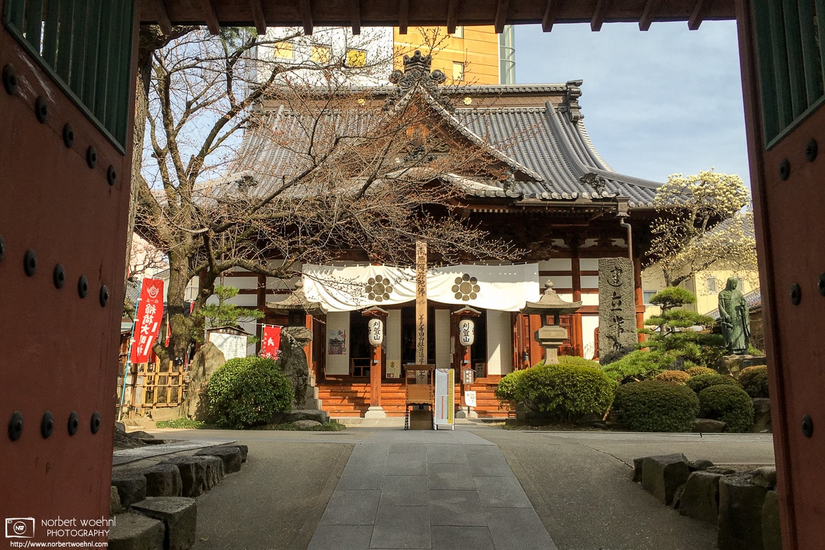 Main Entrance, Karukayasan Saikoji Temple, Nagano, Japan