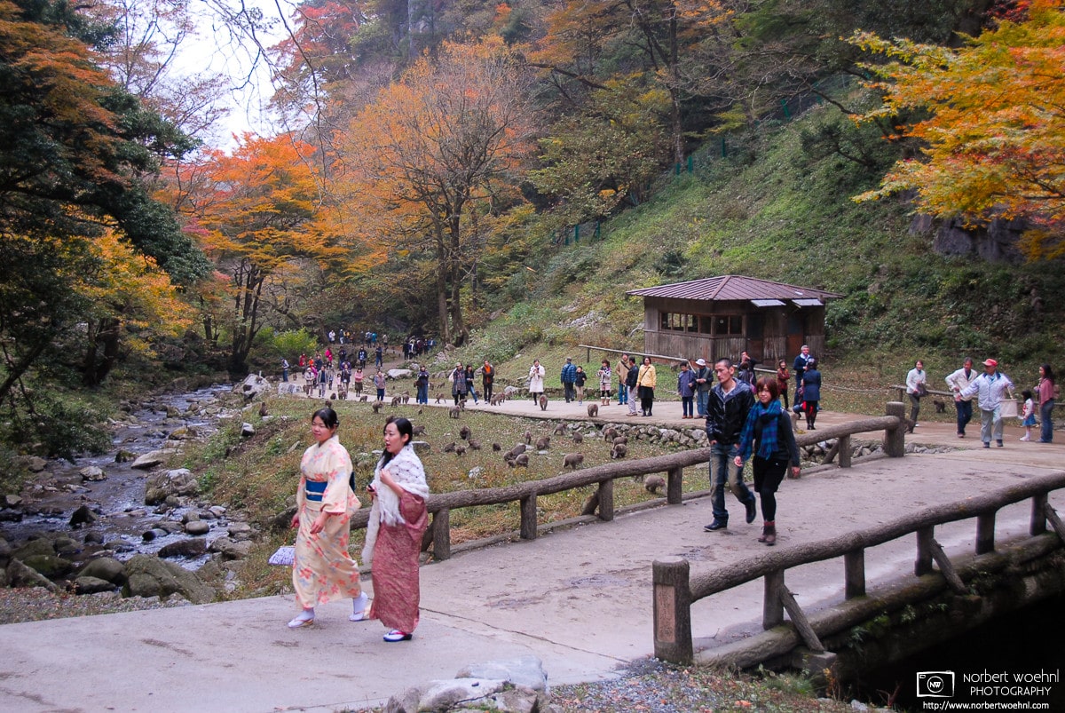 Kamba Waterfall Park Autumn, Okayama Prefecture, Japan Photo