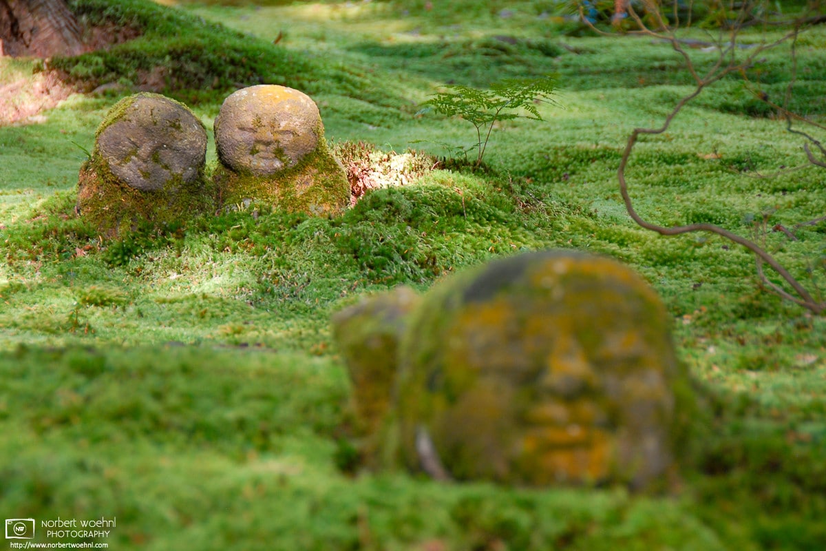 Moss Garden Stone Buddhas, Sanzen-in Temple, Ohara, Kyoto, Japan Photo