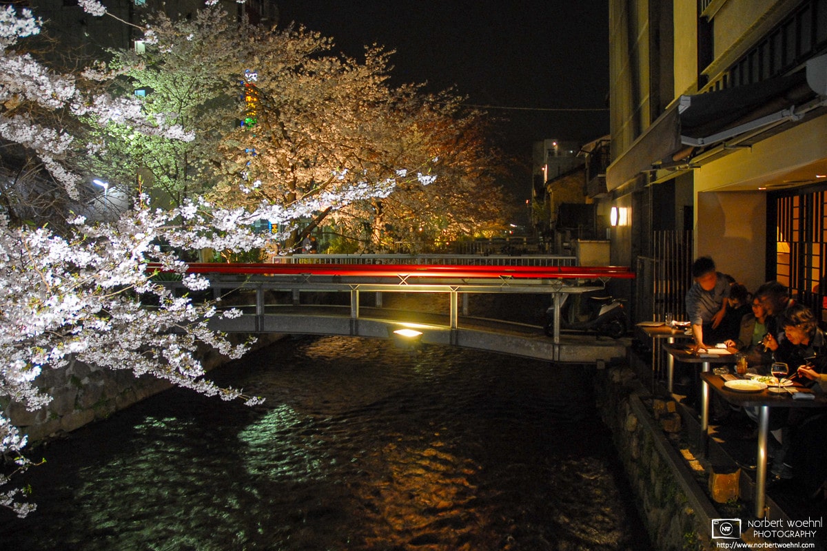 Dinner with a view of illuminated cherry blossoms in the Gion district of Kyoto, Japan.