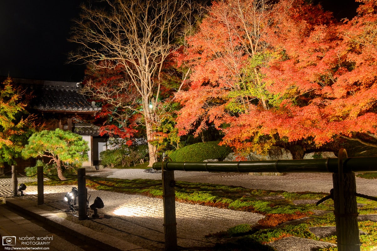 Autumn Illumination at Tenju-an, a side temple of Nanzen-ji in the Higashiyama district of Kyoto, Japan.