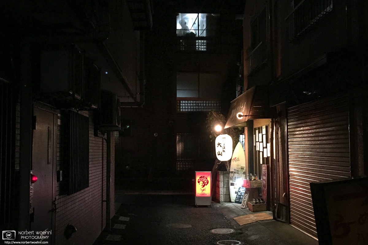 On an evening walk though the Oyama area of Tokyo, Japan, I came across this movie-like scene in a backyard.